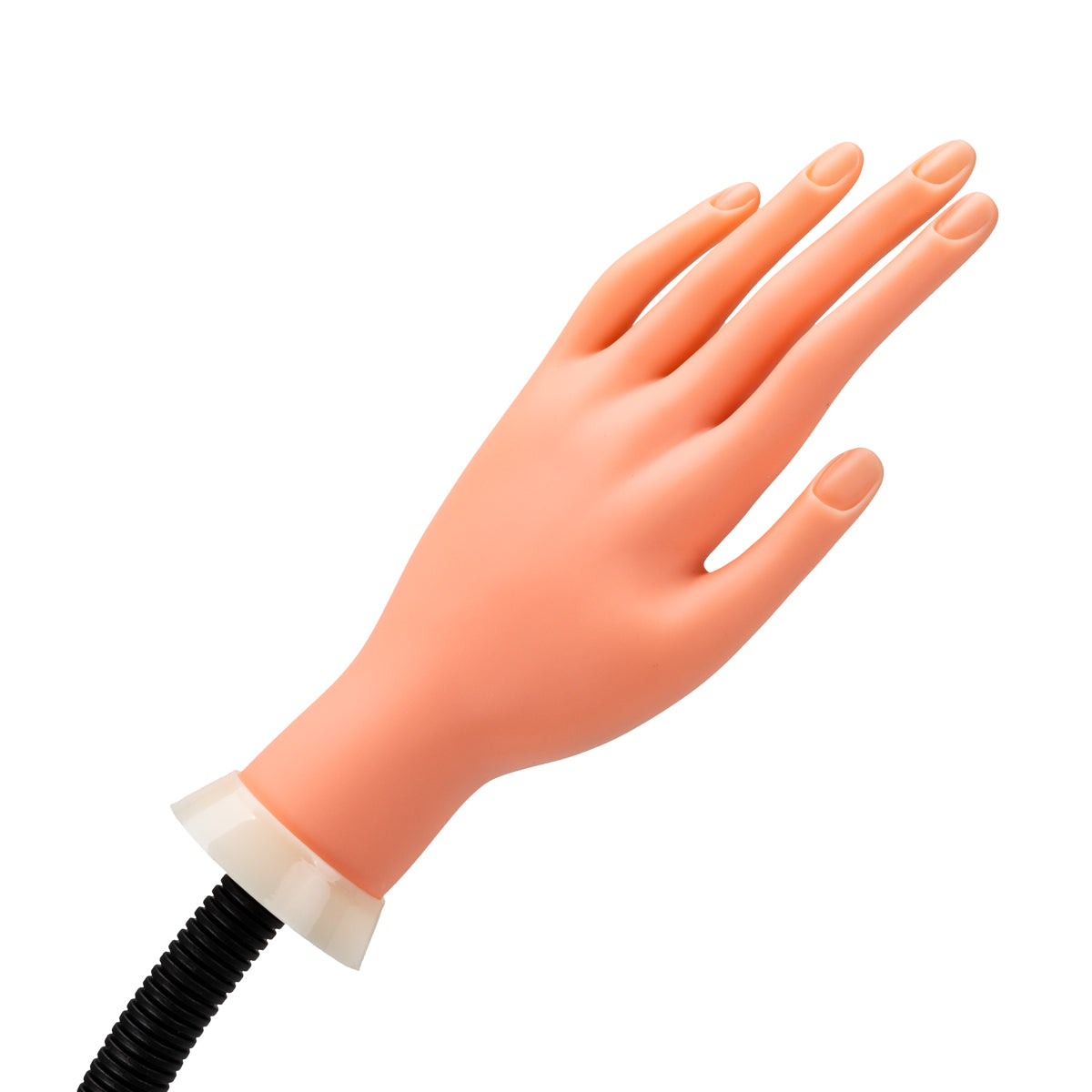 2-ACTIVESHOP-2