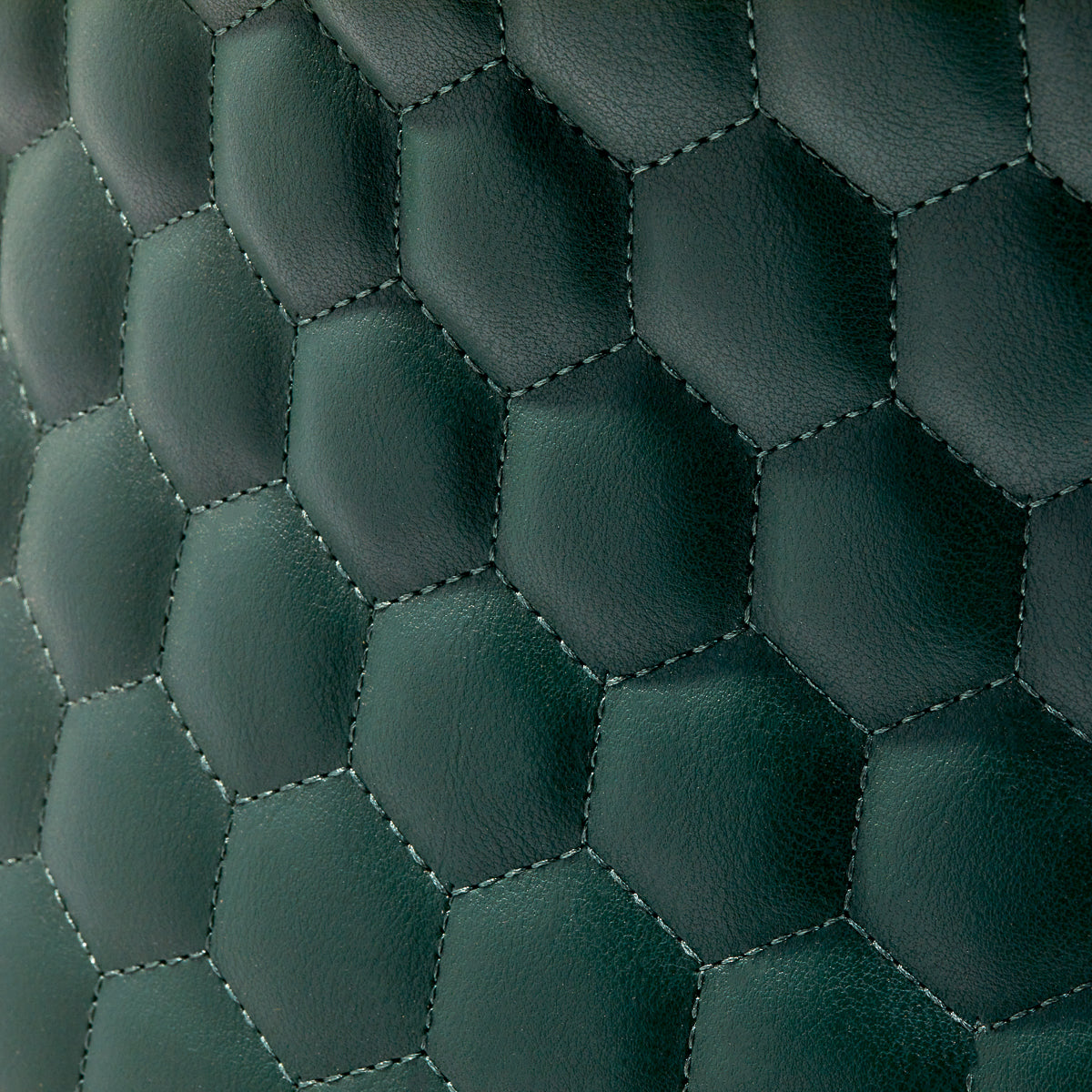 8-GABBIANO-8
