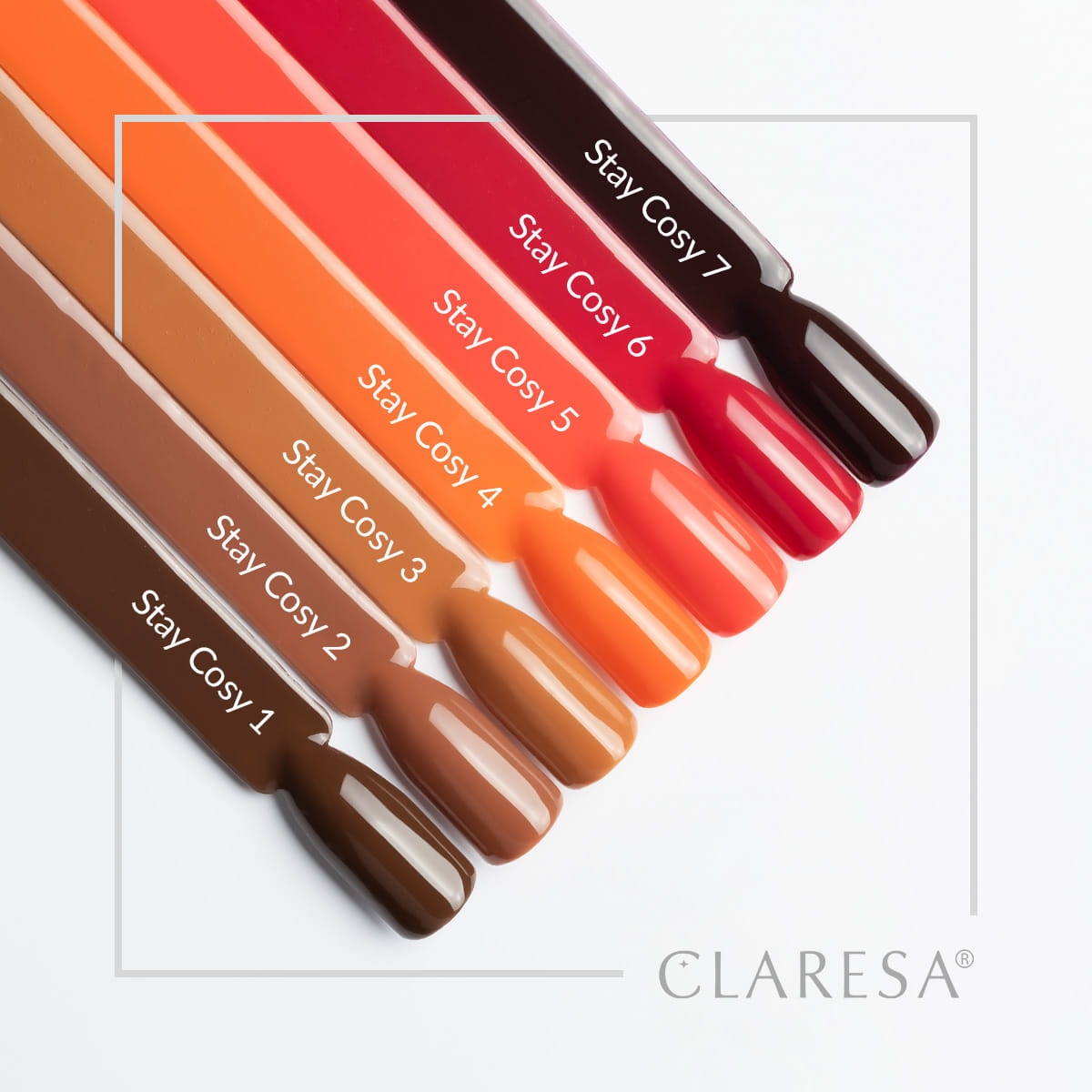 3-CLARESA-3