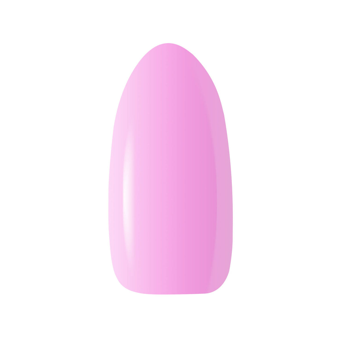2-CLARESA-2