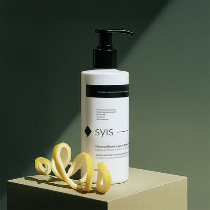 2-SYIS-2